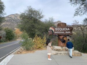 Sequoia National Park : les géants californiens