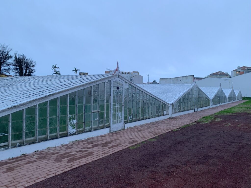 Vue sur les serres des plantations d'ananas